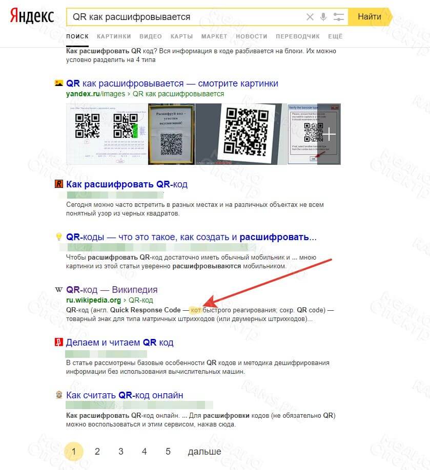 Кот быстрого реагирования или опечатки в мета-тегах? Фото №1