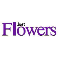 Флористический салон «Just Flowers» Флористический салон «Just Flowers»