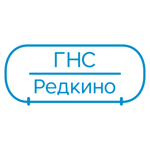 Погода редкино на 10 дней. ООО ГНС. ООО "ГНС-групп". ГНС логотип. ООО "ГНС-групп" картинки.