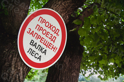 Таблички ПВХ 50х50см «Валка леса» — фото