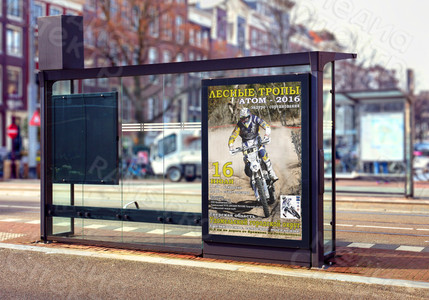 Плакат «Лесные тропы» — фото