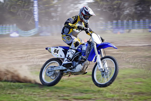 Наклейки «Стартовые номера: лесные тропы» — фото 2