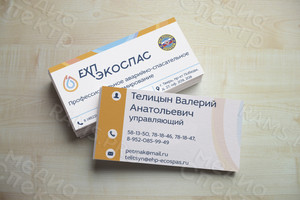 Визитка для управляющего компанией «ЕХП-ЭКОСПАС» — фото 1