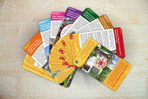 Буклет-веер «Добро пожаловать в Тверскую Карелию!» — фото 1