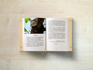 Книга А5 «Спешите делать добро» - авторский сборник стихов, прозы и воспоминаний — фото 2