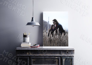 Фотокартина на холсте 30х40см «Двое в поле» — фото 1