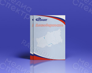 Благодарность официальная ООО «Эко-Сервис» — фото 1