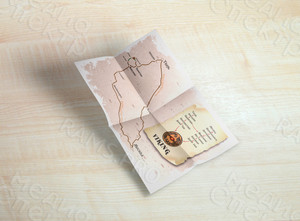 Карта-схема проезда «Viking» — фото 3