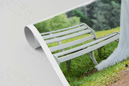 Фотокартина на холсте 50х80см «Молодожены в березовой роще» — фото