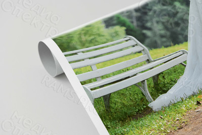 Фотокартина на холсте 50х80см «Молодожены в березовой роще» — фото