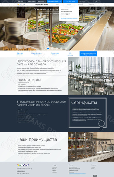 Сайт для компании «IRIS Food Service» — фото