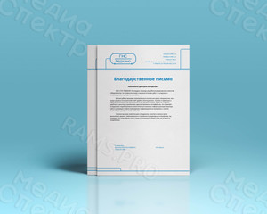 Фирменный бланк А4 «ГНС Редкино» — фото 1