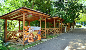 Баннер 3х1.7м «Богатырь» — фото 3