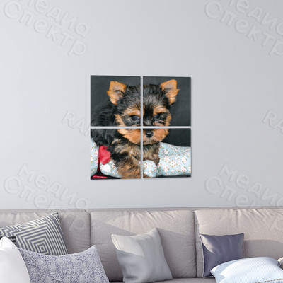 Модульная картина на холсте 40х40см «Собака с шаром» — фото