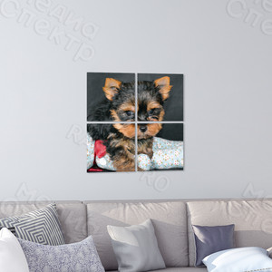 Модульная картина на холсте 40х40см «Собака с шаром» — фото 1