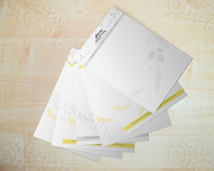 Фирменные бланки медицинского центра ЗОЖ «Норма» — фото 2