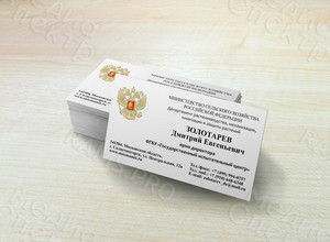Визитка 90х50см стандартная односторонняя на картоне «Золотарев» — фото 3