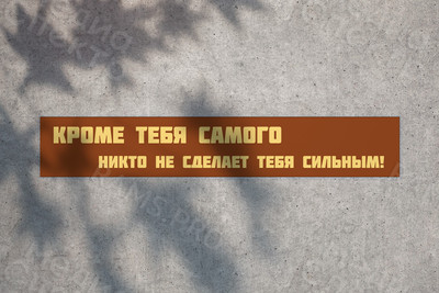 Баннер-лозунг для оформления спортзала — фото