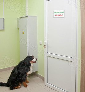 Таблички на двери ветеринарной клиники «Ваш доктор» — фото