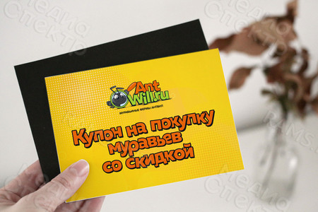 Листовка-купон на покупку муравьев бренда «АнтВилл» со скидкой — фото