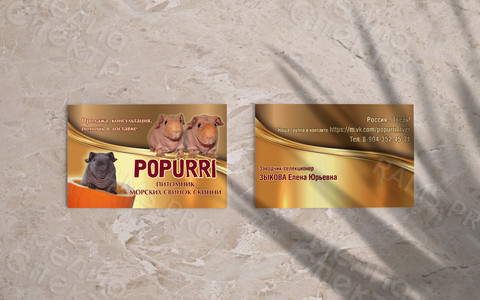 Визитки 90х50мм для питомника морских свинок — фото