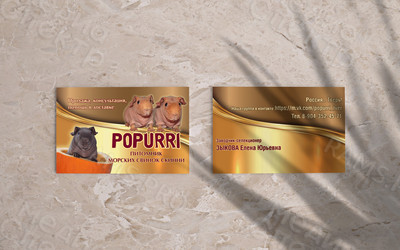 Визитки 90х50мм для питомника морских свинок — фото