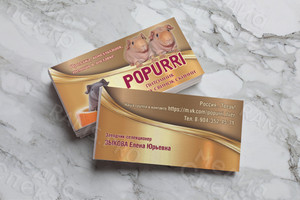 Визитки 90х50мм для питомника морских свинок — фото 2