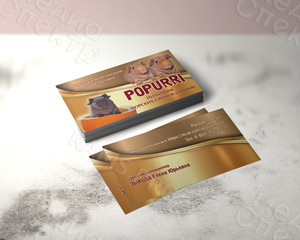 Визитки 90х50мм для питомника морских свинок — фото 3