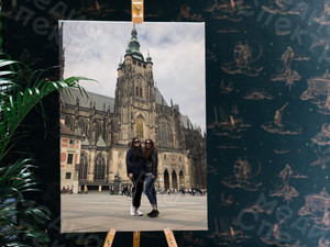 Фотопостеры-паспарту в рамках 51х71см «Ozon Travel» — фото 6