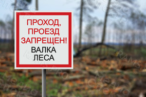 Табличка из оцинковки 50х50см «Валка леса» — фото 1