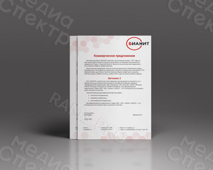 Фирменный бланк «БИАНИТ» — фото 1