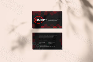 Визитка корпоративная для компании 90х50мм «БИАНИТ» — фото 2