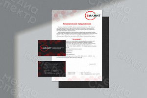 Логотип и фирменный стиль «БИАНИТ» — фото 3