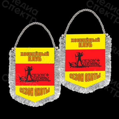 Вымпел формат А5 148х210мм — фото