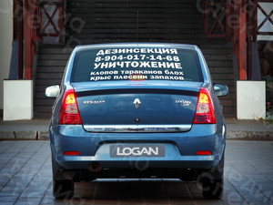 Наклейка на автостекло «Дезинсекция» — фото 2