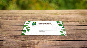 Евросертификат 210х99мм «Банная школа в Дубровках семинар-тренинг» — фото 2