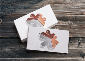 Отрисовка логотипа для компании «ТВЕРЬСТРОЙ» — фото 2