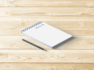 Отрисовка логотипа для хосписа «Анастасия» — фото 3