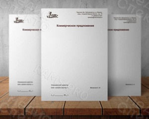 Фирменный бланк для документов А4 — фото 4