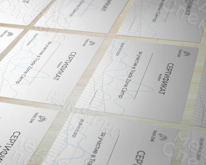 Сертификаты Trade Zone Camp — фото 3