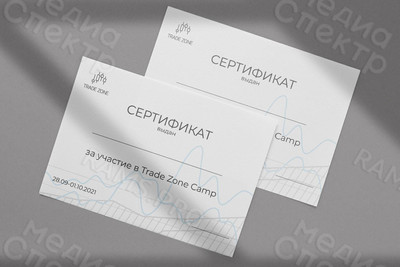 Сертификаты Trade Zone Camp — фото