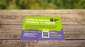 Листовка-купон на покупку муравьиной фермы бренда «Мистер Ант» — фото 3