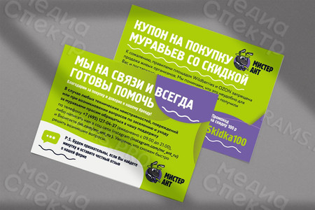 Листовка-купон на покупку муравьиной фермы бренда «Мистер Ант» — фото
