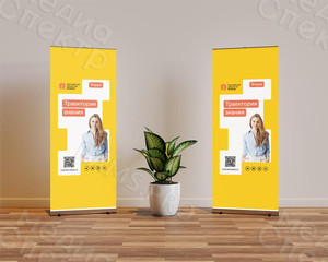 Roll Up для форума общества «Знание» в Тверском государственном университете 02-03.12.2021 — фото 2