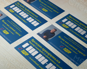 Флаер «ЛДПР для автомобилистов» — фото 3