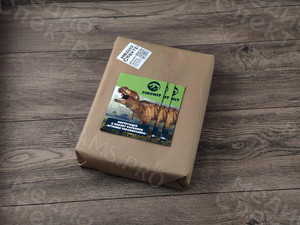 Буклет-инструкция к набору раскопок «Останки тираннозавра» — фото 7