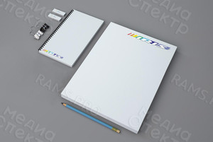 Отрисовка векторного логотипа для группы компаний «IRIS» — фото 2