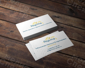 Нейминг, логотип и фирменный стиль для медицинского центра ЗОЖ «НОРМА» — фото 2