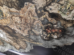 Постер 148х154см «Континент» — фото 6