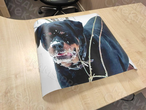 Наклейки на автомобиль «Собака» — фото 7